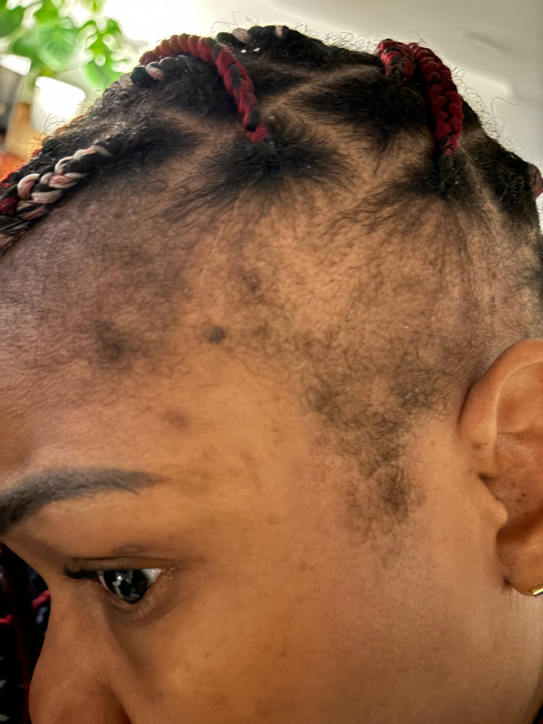 The Birth of Everbraid: A Braided Wig Brand Created for Protective Styling & Hair Loss